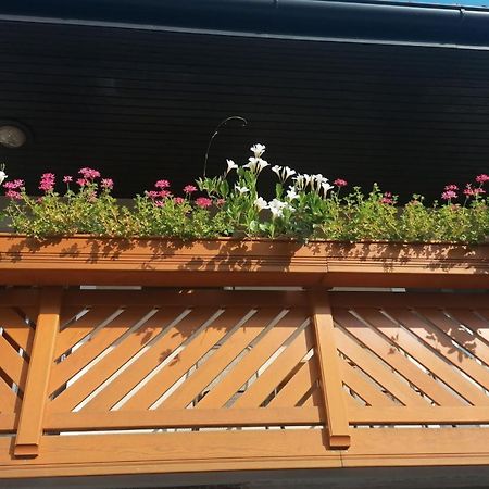 Apartmaji Valter Srpenica 외부 사진